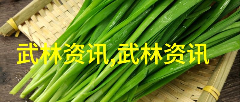 武术修炼境界划分之谜揭秘高手之间的神秘层级