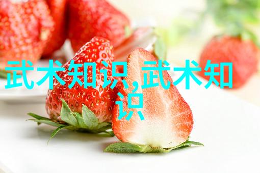 掌握太極推手技巧双方协同运动的艺术境界