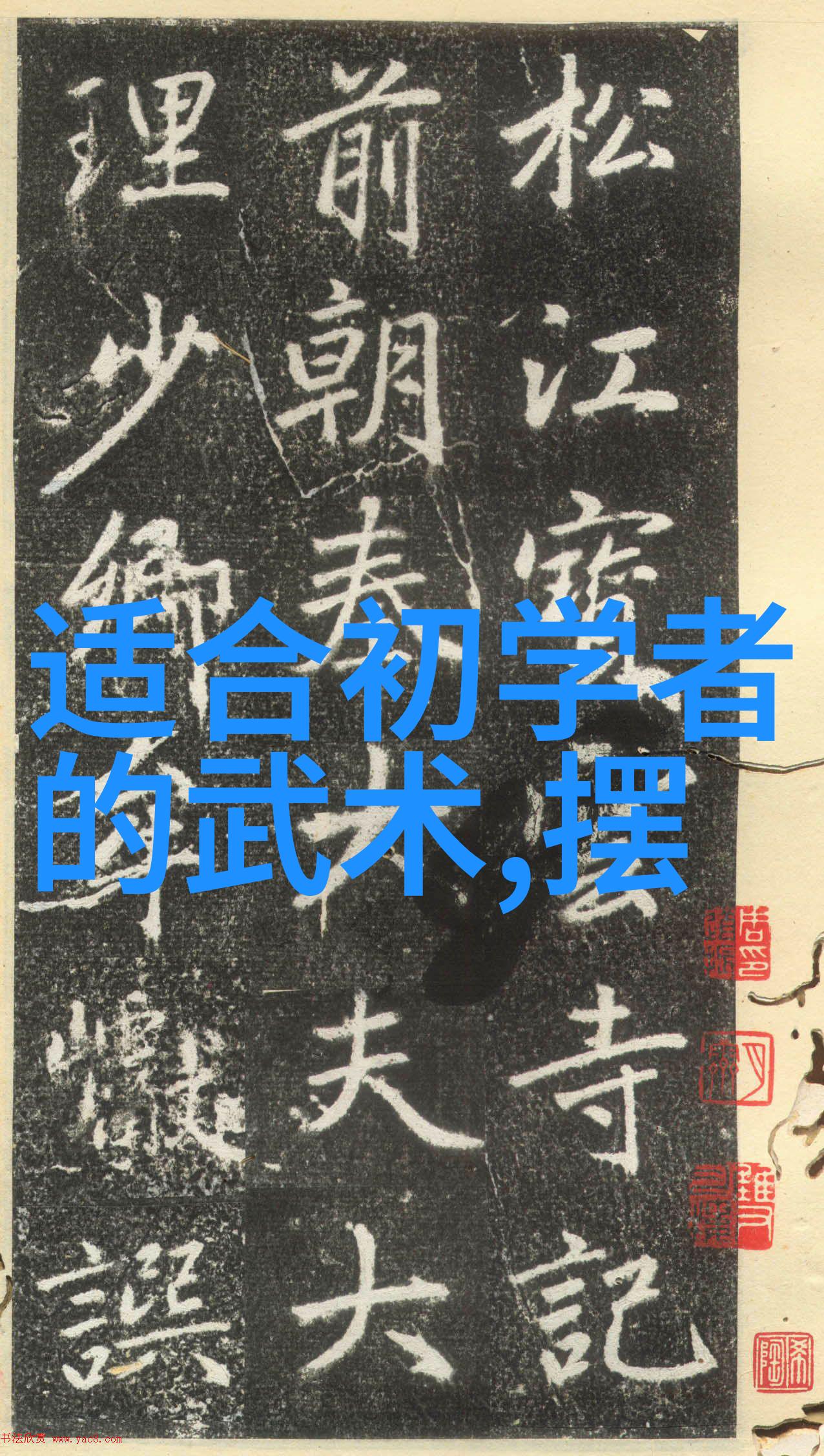 中国武术十大拳法排名我来告诉你这十门哪个更厉害