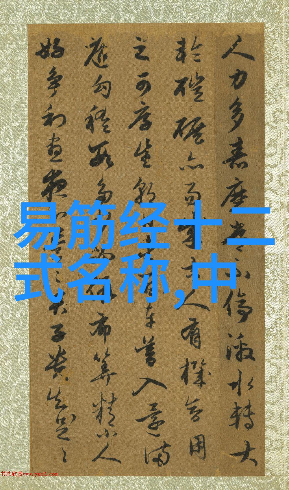 美女视频网探索虚拟空间中的魅力与艺术