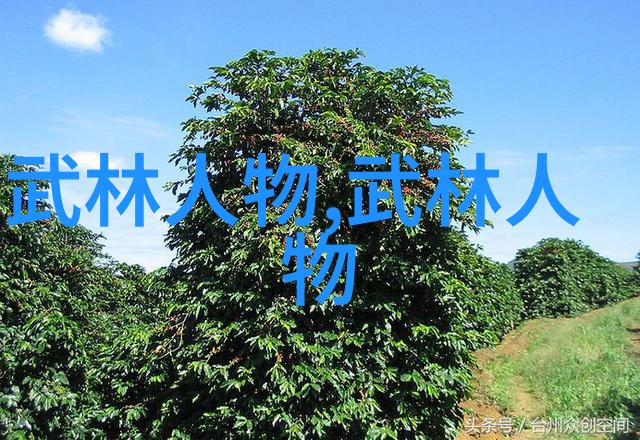 坐学长鸡上的写作体验