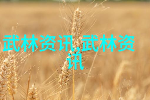 武当全真龙门派传人是谁我来告诉你一个秘密他就是我们见过的那个老前辈