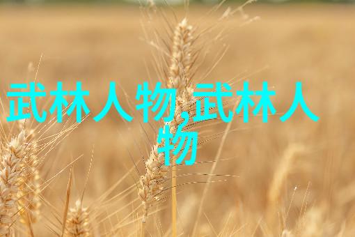 太极拳口诀之谜解读24式的精髓