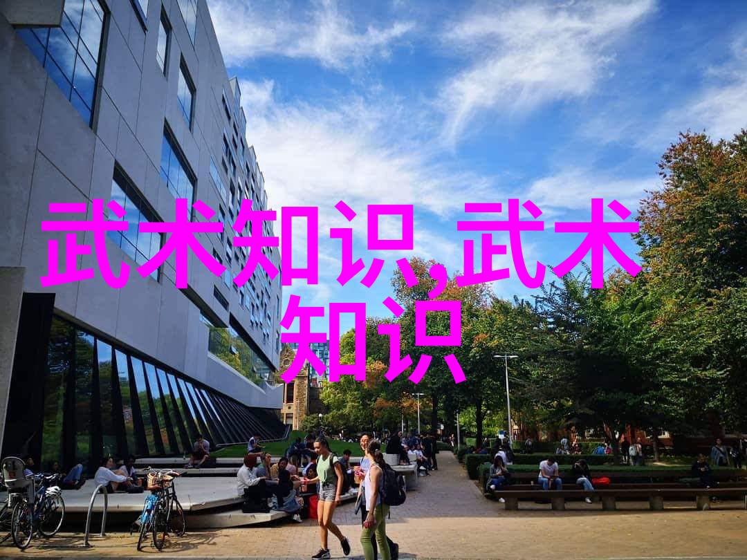 世界上最狠的拳法是哪种它的历史悠久吗