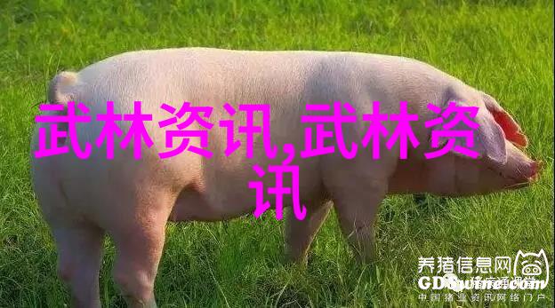 碧血剑下的门派纷争古代武林门派名字大全探秘