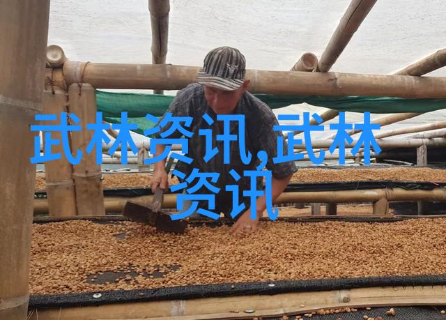 武功门派探秘古今英雄谱中隐秘的修炼之路