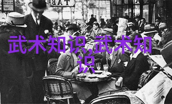 武林秘籍拳法图解与古今招式大全