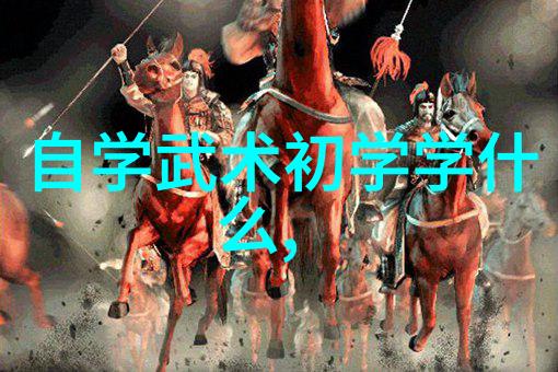 武林秘籍解密揭秘中国武术十大拳法的训练方法