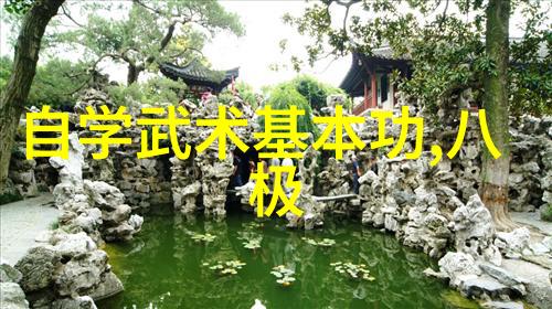 中国古代武术流派中华武学
