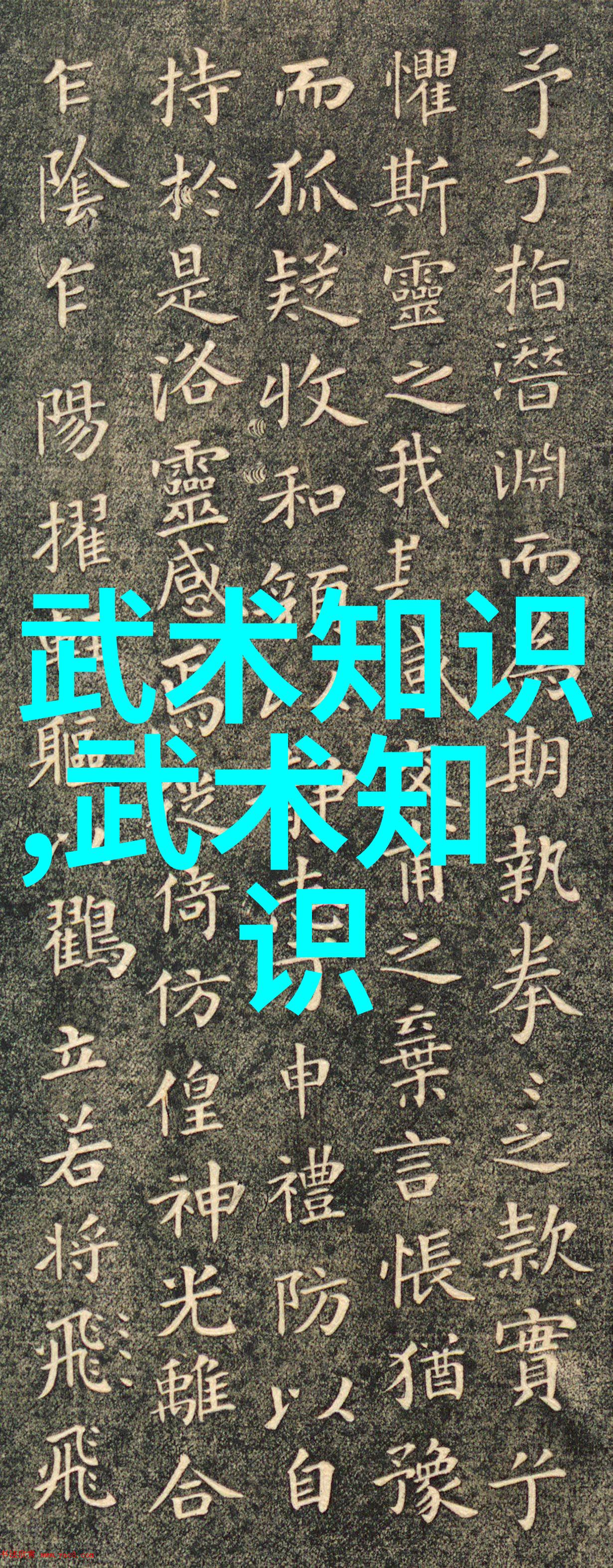 霸气回响探索那些好听又令人敬畏的武侠宗门名字