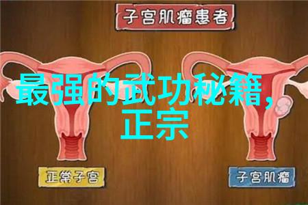 体育院校大猛攻C视频精彩回顾