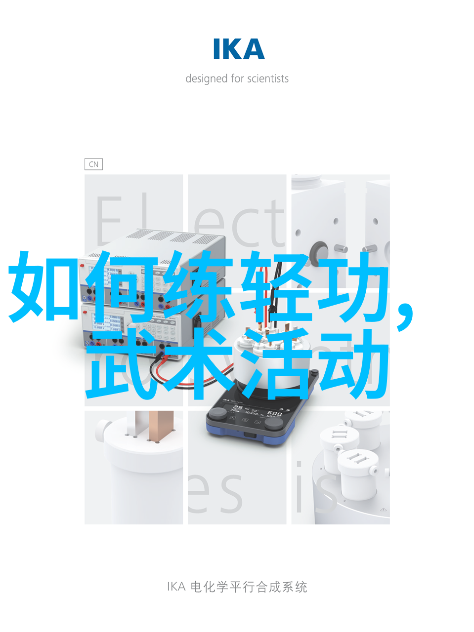 贵州武林门派中的梅花拳如同春天中绽放的梅花美丽而不失锋芒