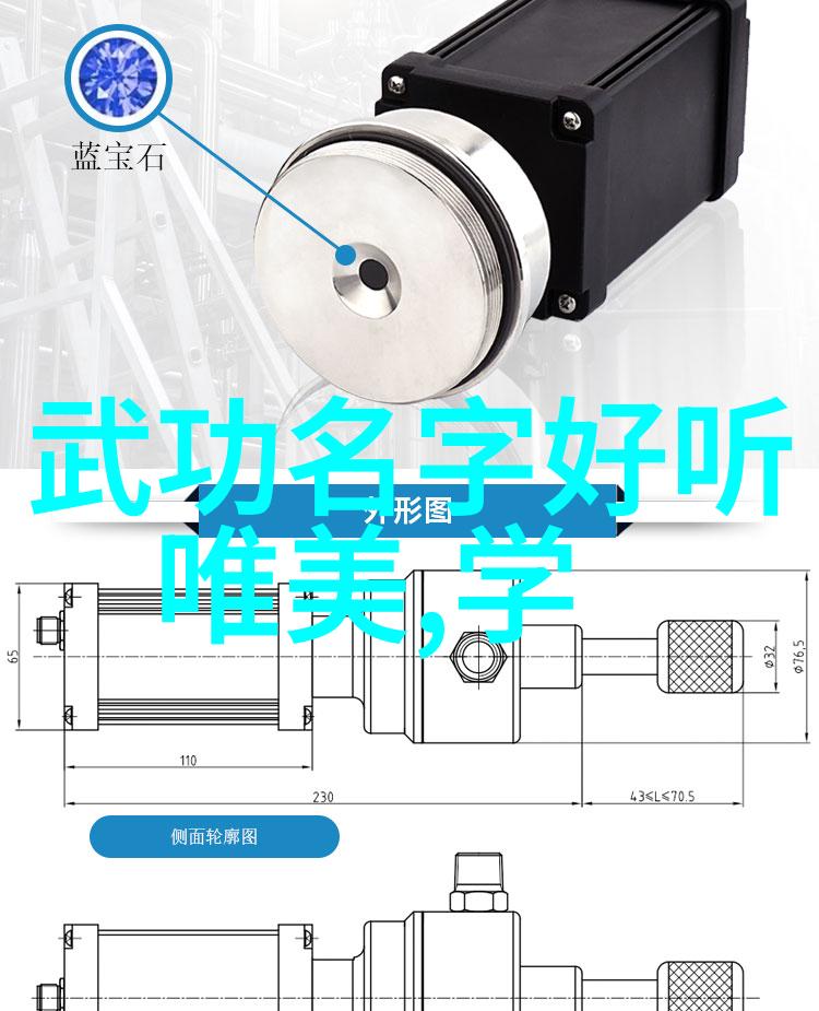 中国功夫秘籍大全-揭秘中国武术通往内家外家绝技的神秘之路