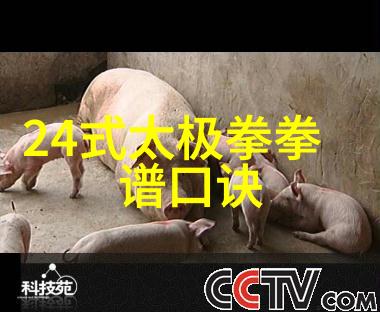 古代武林门派名字大全 - 江湖百家探秘古代武林门派的神秘名字