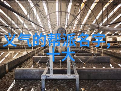 如何评价金庸笔下的内力系统与外门道派之间的对抗和融合