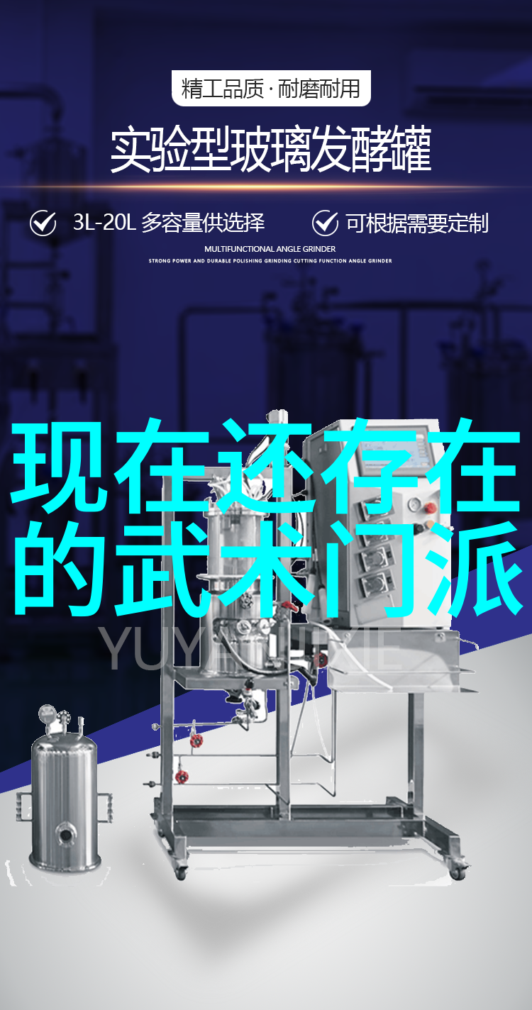 贵州武林门派考察探索遵义剑气宗与黔东南醉月门的传统与现代融合
