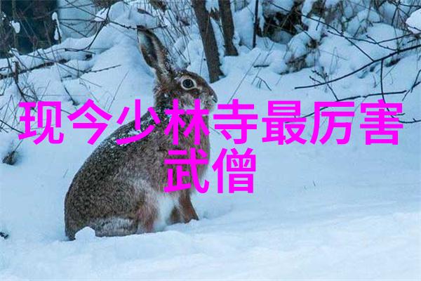 打破藩篱太极拳二十四势图解带你体验无边界练习