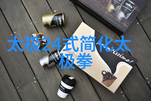 中国传统武术拳法-探秘中国古代拳法揭秘内功招式与精神