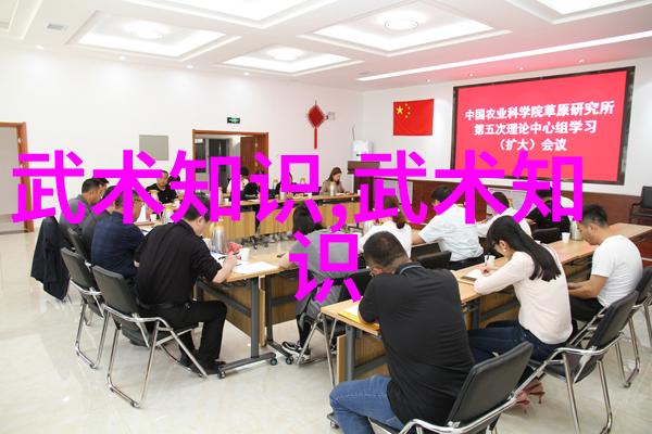 中国武术流派概览探索千年传承的艺术与技巧