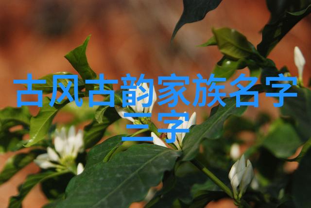 妖女直播5魔影绘幕沉默的观众与未解之谜