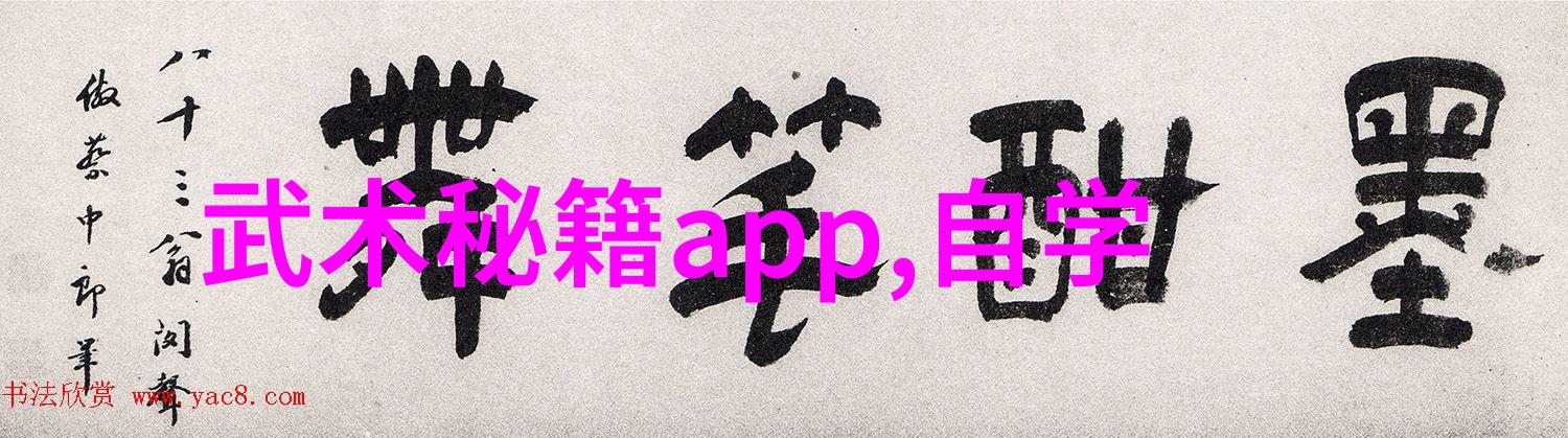 初学武术套路拳法拳在拳外的精彩实战