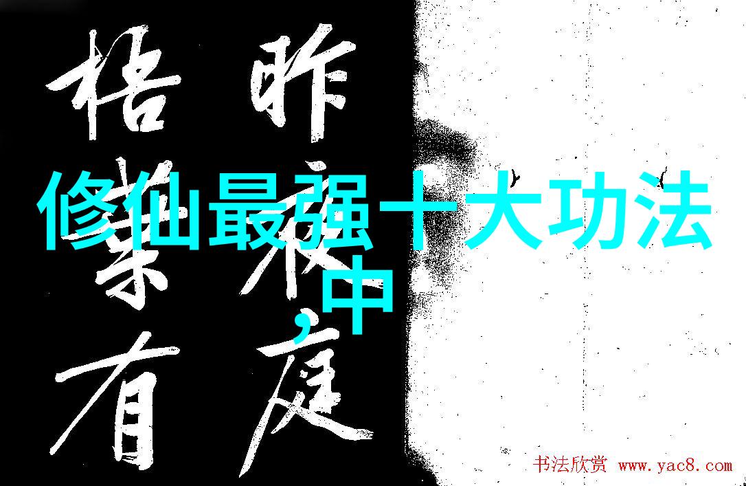 朴妮唛的新篇章种子与未来