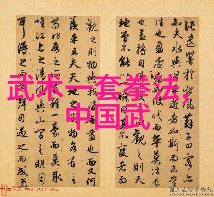 武功秘籍大全招式拳法图片我手中的武林秘籍揭秘那些拳法图解