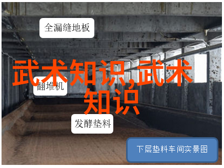 太极拳24式名称顺序图解教你一招定心丸跟我一起掌握这套经典之作