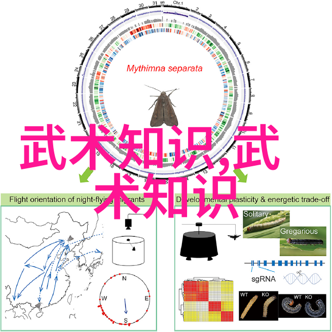 美剧天堂追逐时尚与艺术的电视之旅