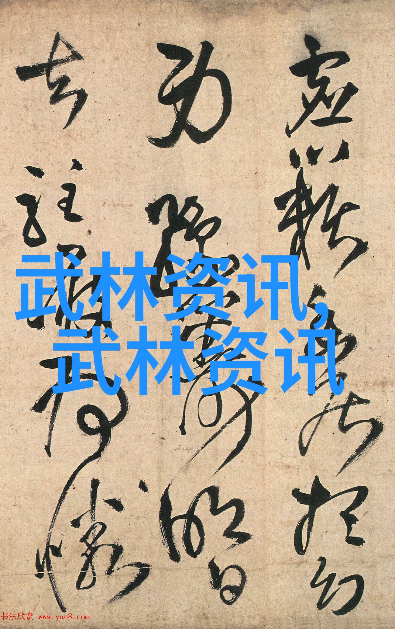 乌龟扇贝亲密接触蹭探友情的奇妙瞬间