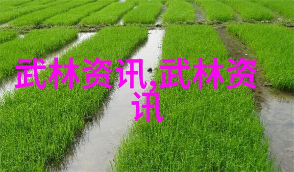 武术的12个基本动作我来教你一套简单又实用的基础功夫
