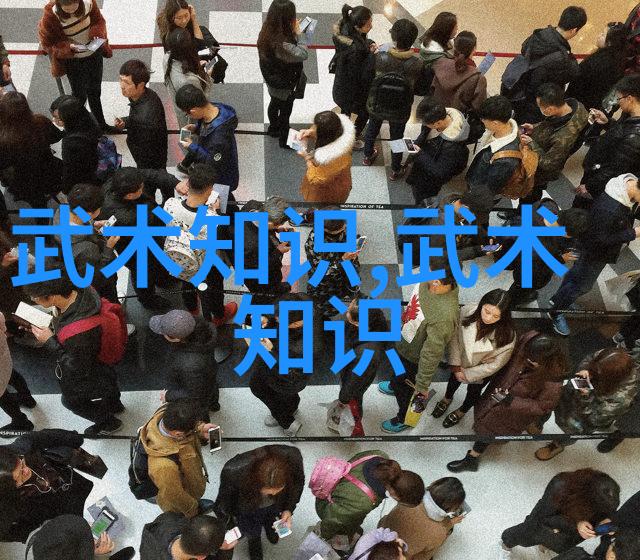 从太极到詹鑫中国武术各大门派简介与特点