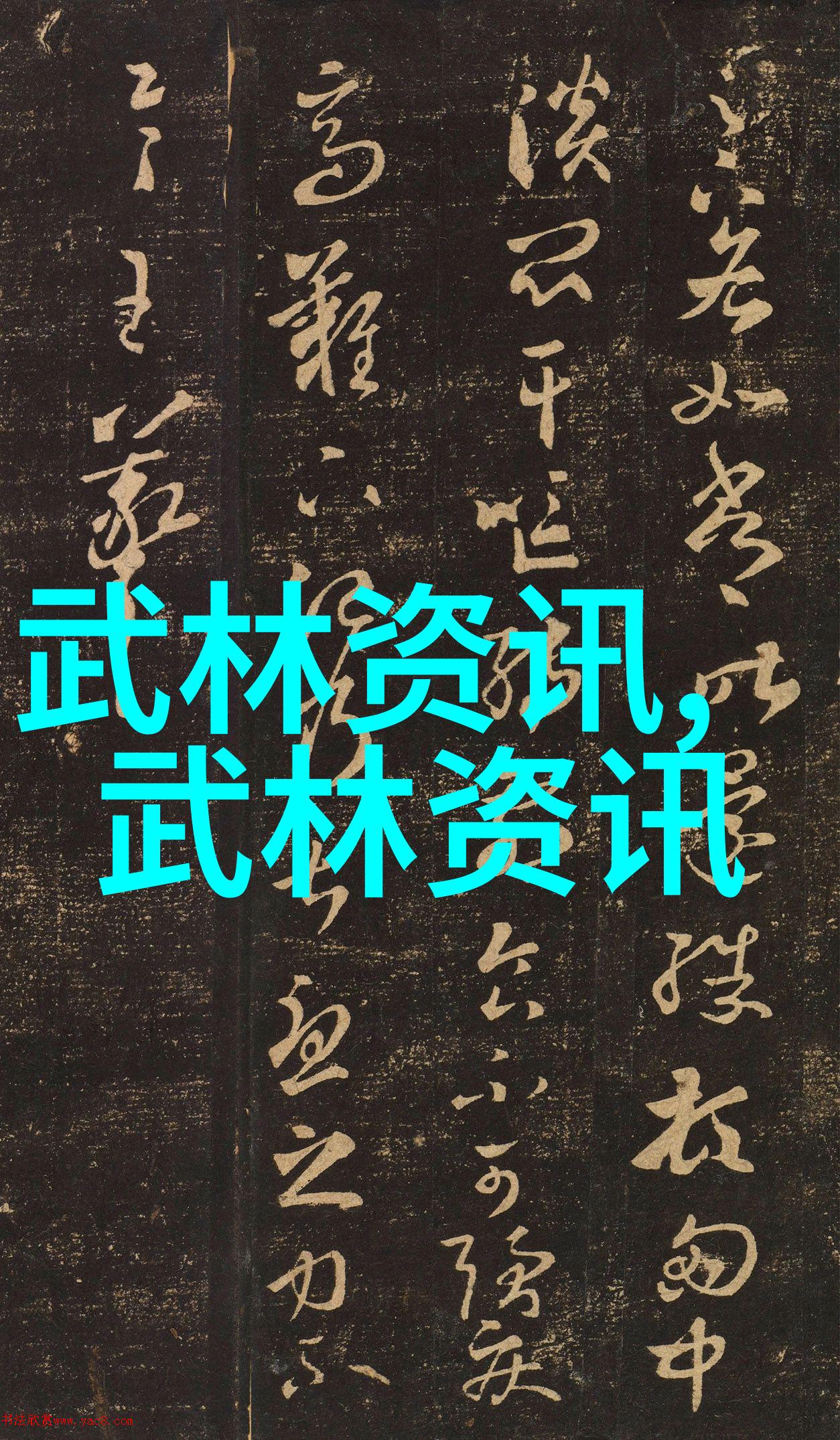 中国传统武术拳法-探索中华古韵中国传统武术拳法的演变与魅力
