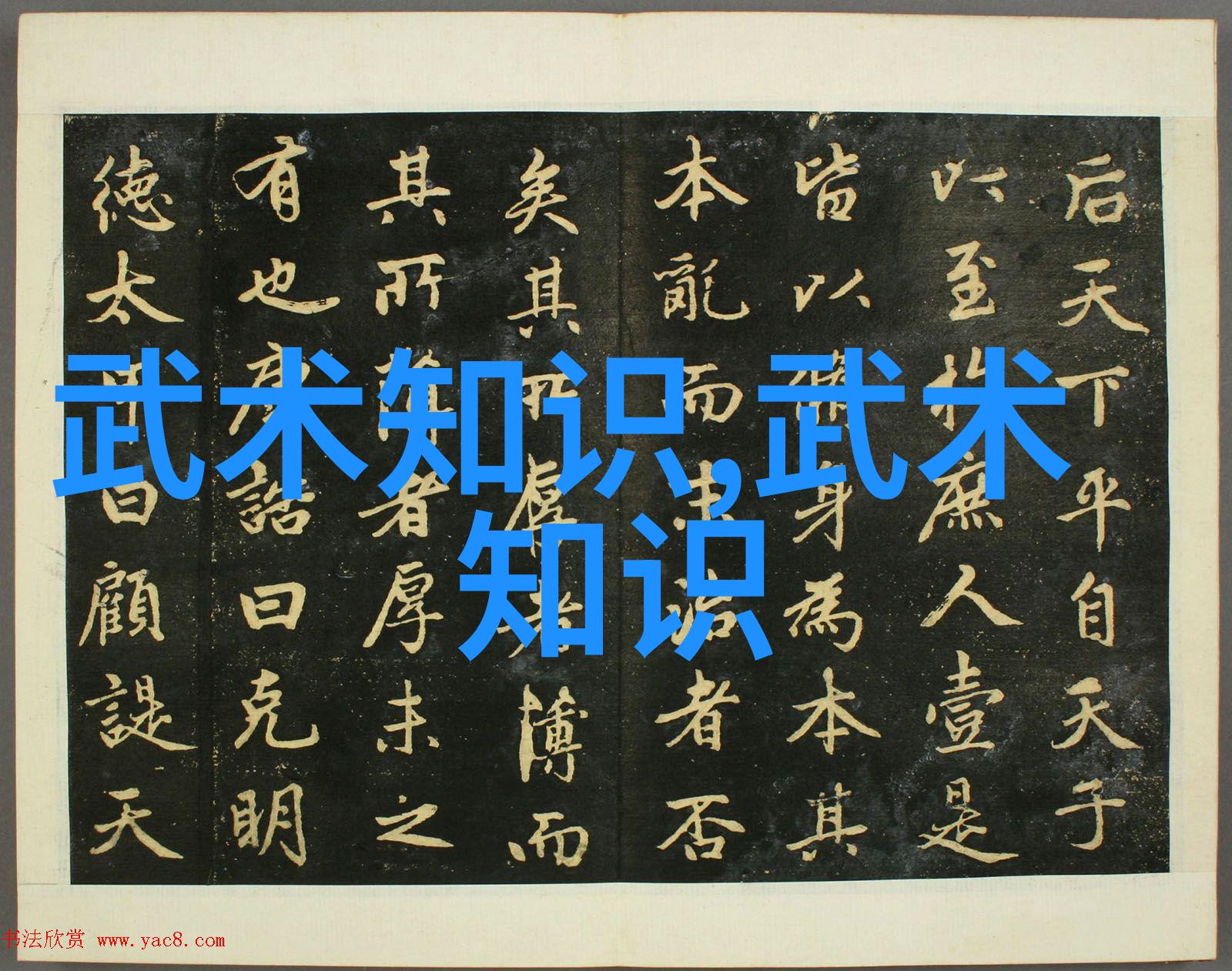 师叔个个不斯文全书概括探索家族传统与现代生活的碰撞通过一系列幽默风趣的故事展现了不同性格的师叔们如何
