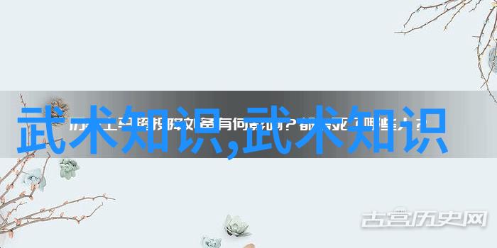 形意拳最怕哪种拳 - 柔韧与力量的对决揭秘形意拳遇袭时的弱点