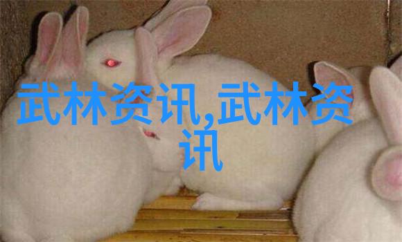 太极拳秘籍揭秘王本德的身法奇术