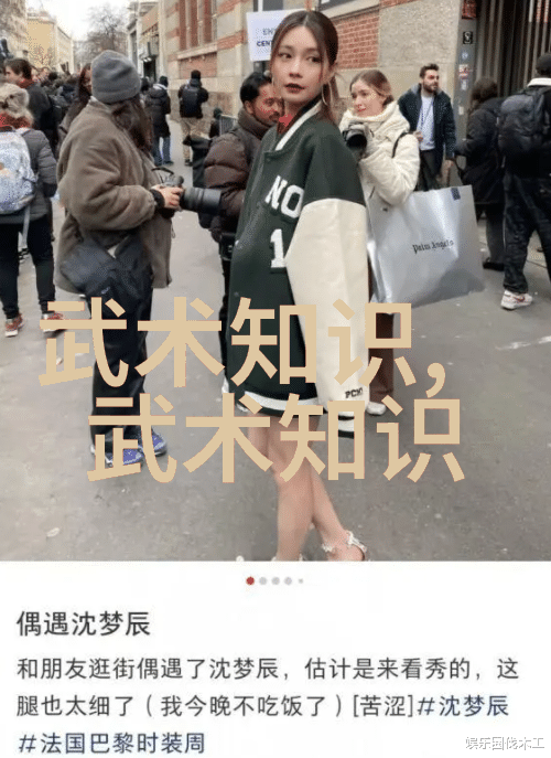 解密传统武学32式太极拳全套分解深度剖析