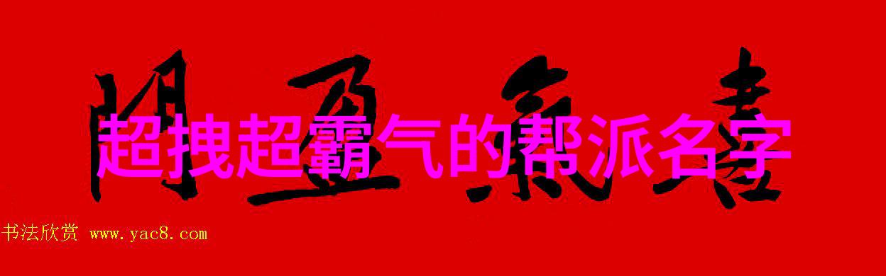 共筑未来介绍多元化参与模式下的互助养老帮派