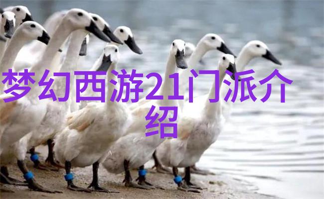 黑子的篮球终极一战的篮球赛程
