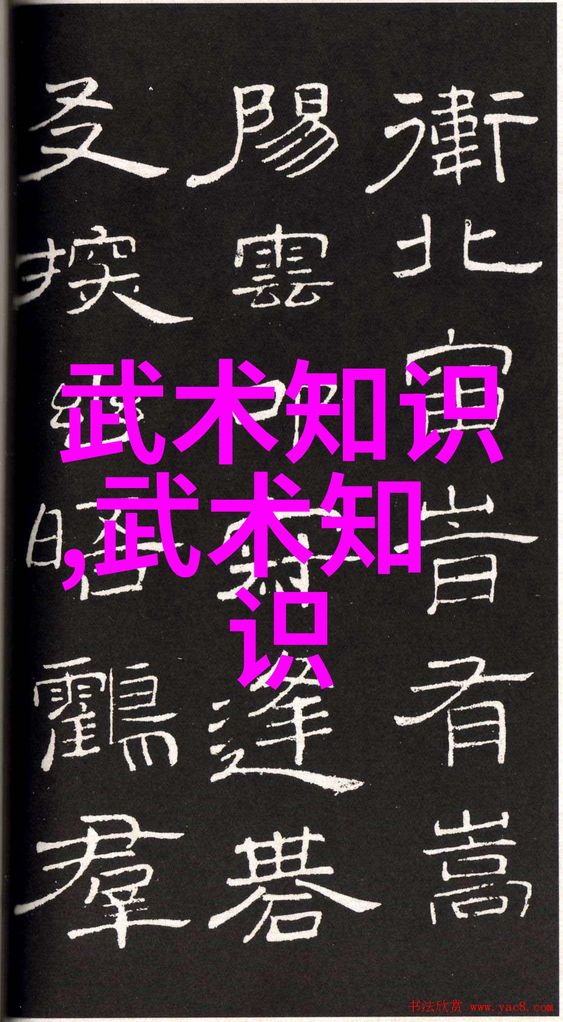 武功大全探秘揭秘中华武林中的神奇招式与内功法门