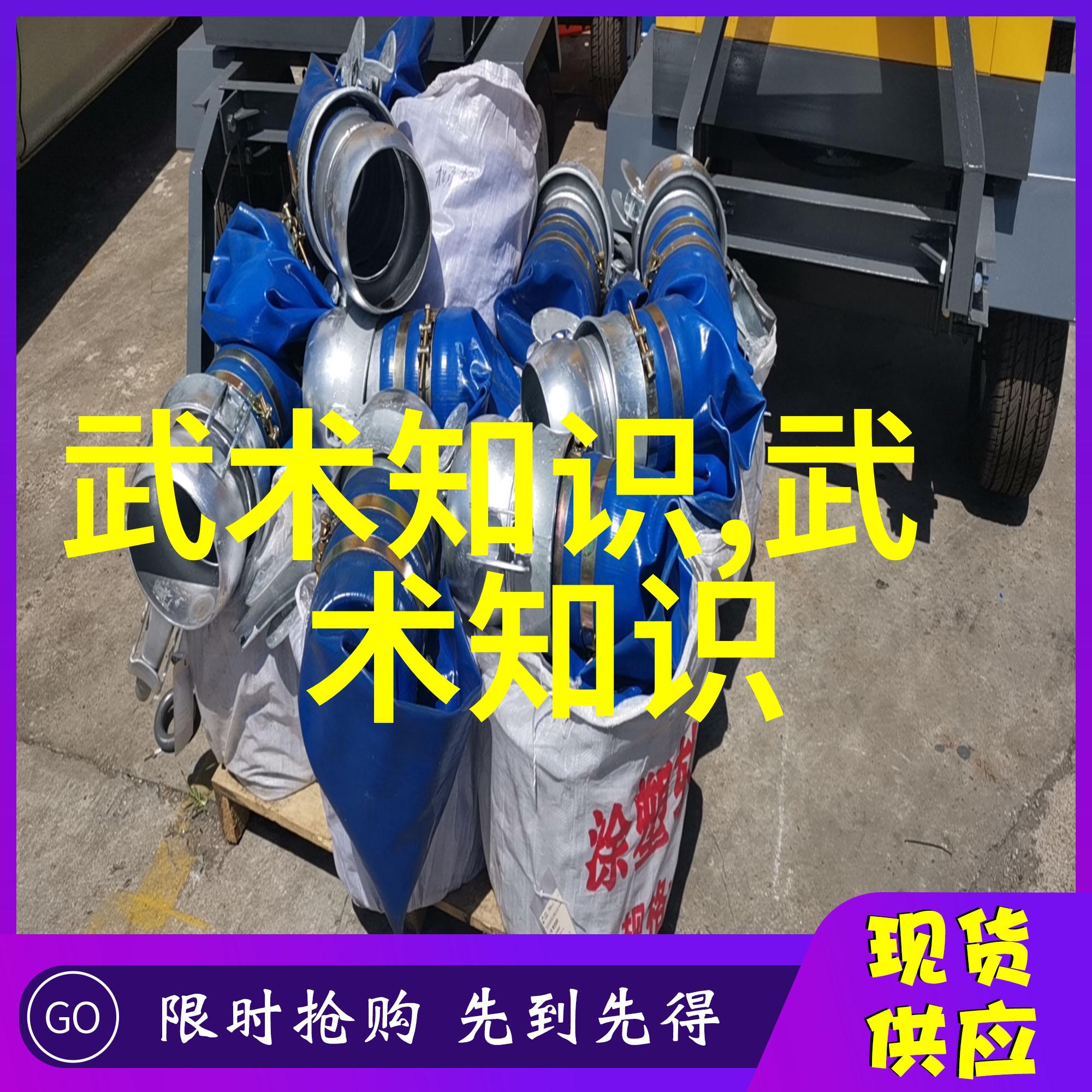 中国十大武术排行榜赵氏玄门逍遥桩拳风神韵击破世间一切挑战