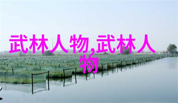 武林秘籍解密揭秘传统武术的奥义与修炼方法