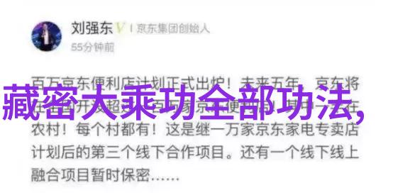 武林绝学秘籍集成拳法修炼之术