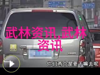 沉默的拳脚禁武之网
