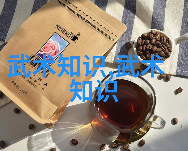 禁武网站揭秘站桩的绝技与安全之谜