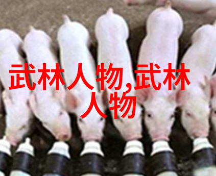 世界上最强武功是什么能否揭开这段未解之谜