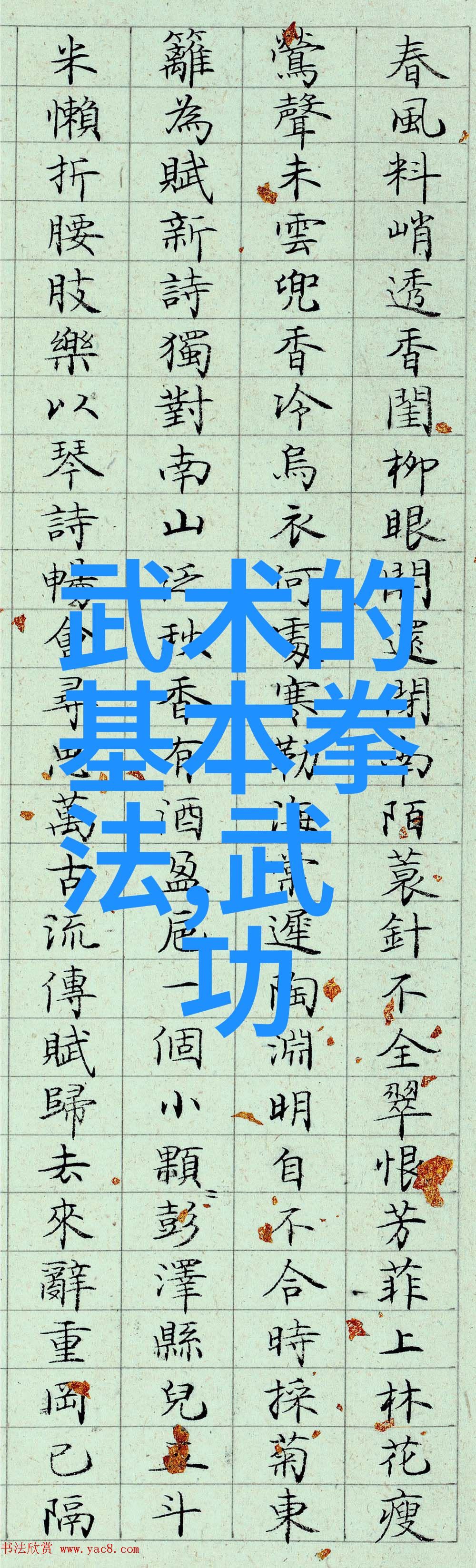 拳法秘籍解锁探索武林至尊的掌门之道