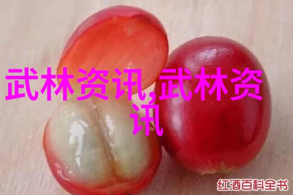 太极图谱探索道家内功的奥义