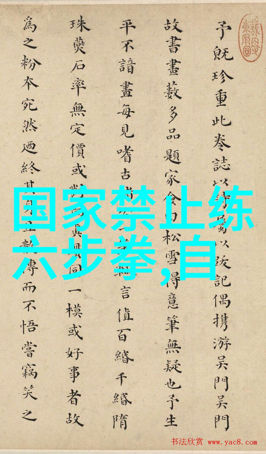 武术大师之路实战性最强的十大武术拳法剑法枪法刀法棍法架手等