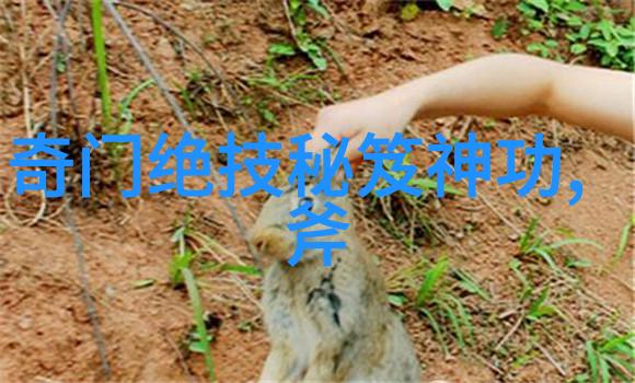 太极拳24式自学图解揭秘慢与快的奥义-王本德